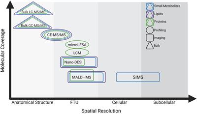 Uncovering Molecular Heterogeneity in the Kidney With Spatially Targeted Mass Spectrometry